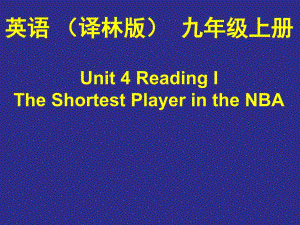 The-shortest-player-in-the-NBA---国家大赛获奖精美ppt课件