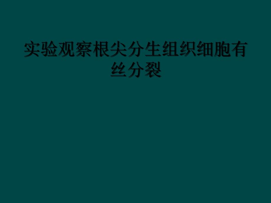 实验观察根尖分生组织细胞有丝分裂_第1页