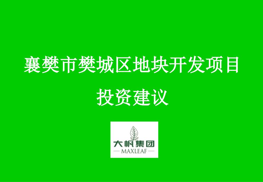 某地块开发项目投资建议_第1页