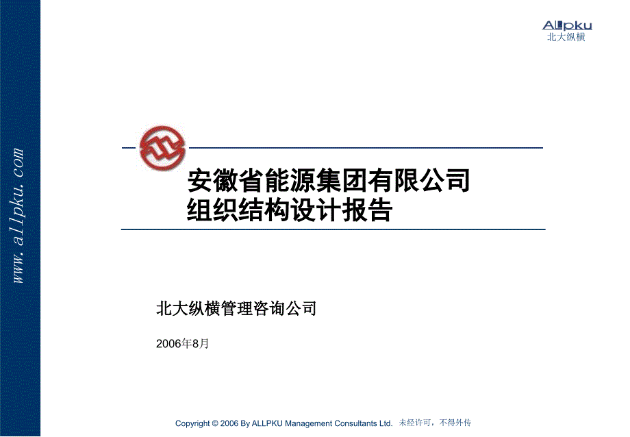 某能源集团有限公司组织结构设计报告_第1页