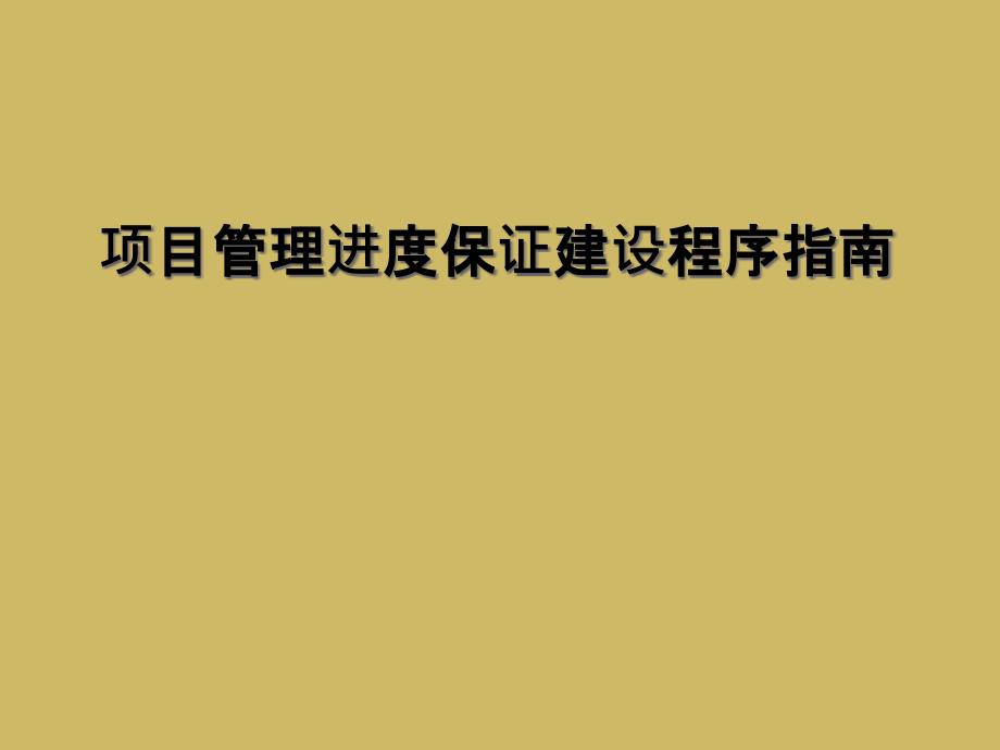 项目管理进度保证建设程序指南_第1页