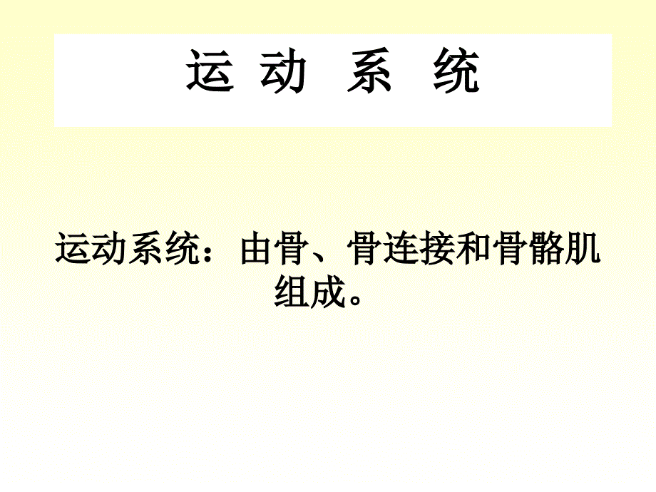 人体解剖学运动系统骨与骨连接_第1页