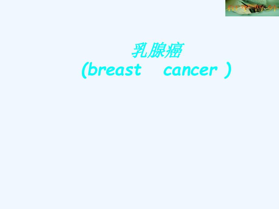 乳腺癌ppt课件_第1页