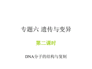 DNA的结构和复制