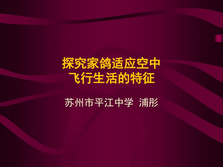 探究家鸽适应空中概要课件_第1页