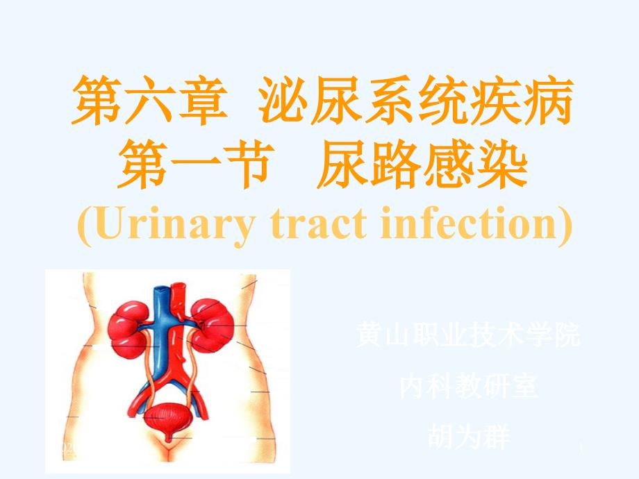 临床医学概要尿路感染描述_第1页