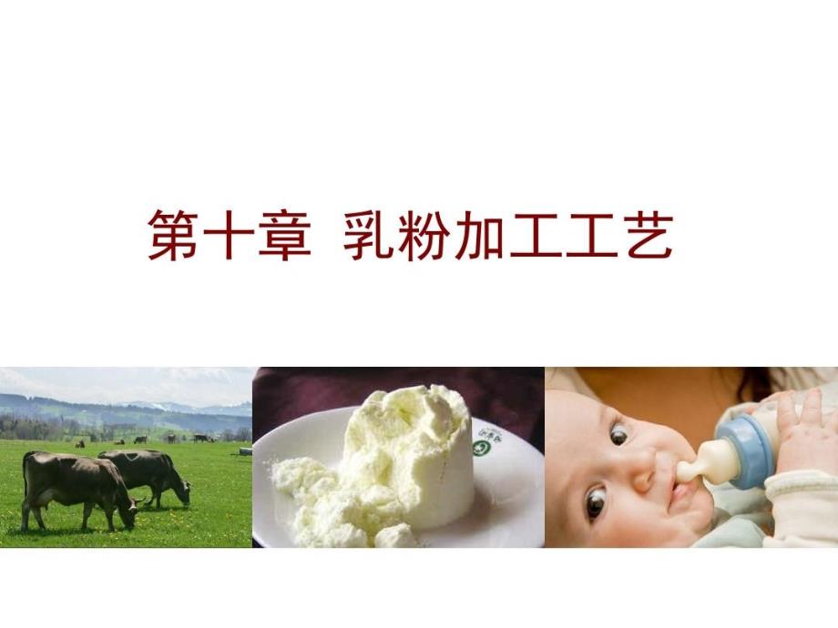 食品工艺学第十乳粉加工课件_第1页