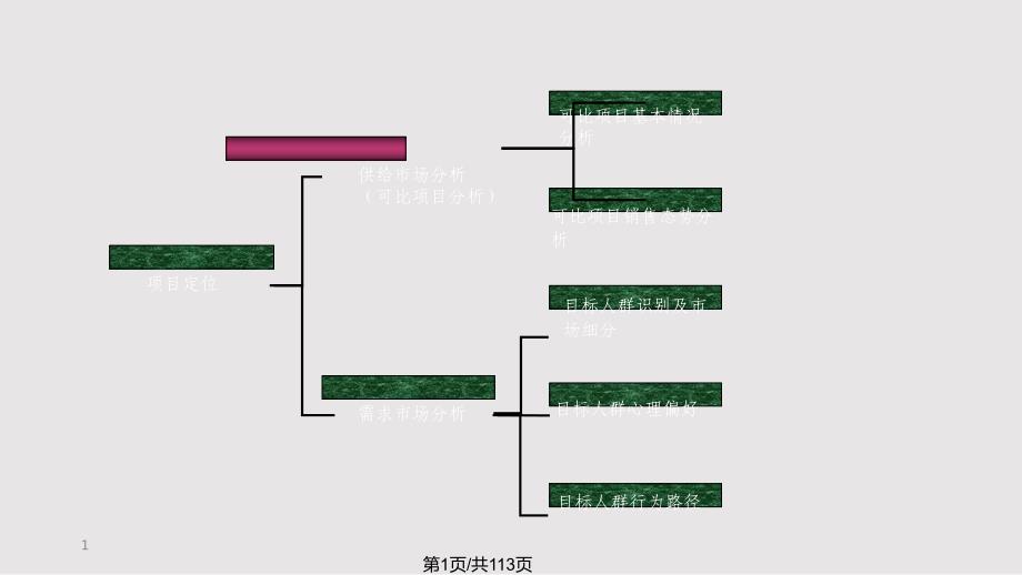 新浅水湾项目定位可行性市场调查分析报告_第1页