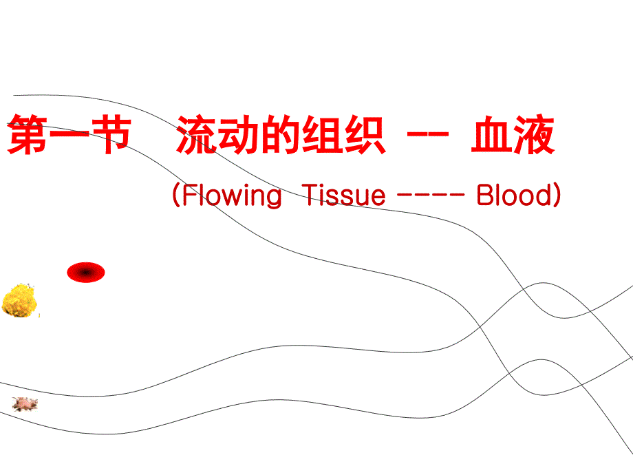 七年级下生物流动组织血液课件_第1页