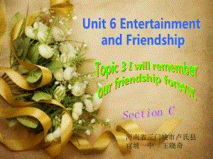 Unit6EntertainmentandFriendshipTopic3.Iwillrememberourfriendship课件初中英语仁爱科普版九年级下册1602