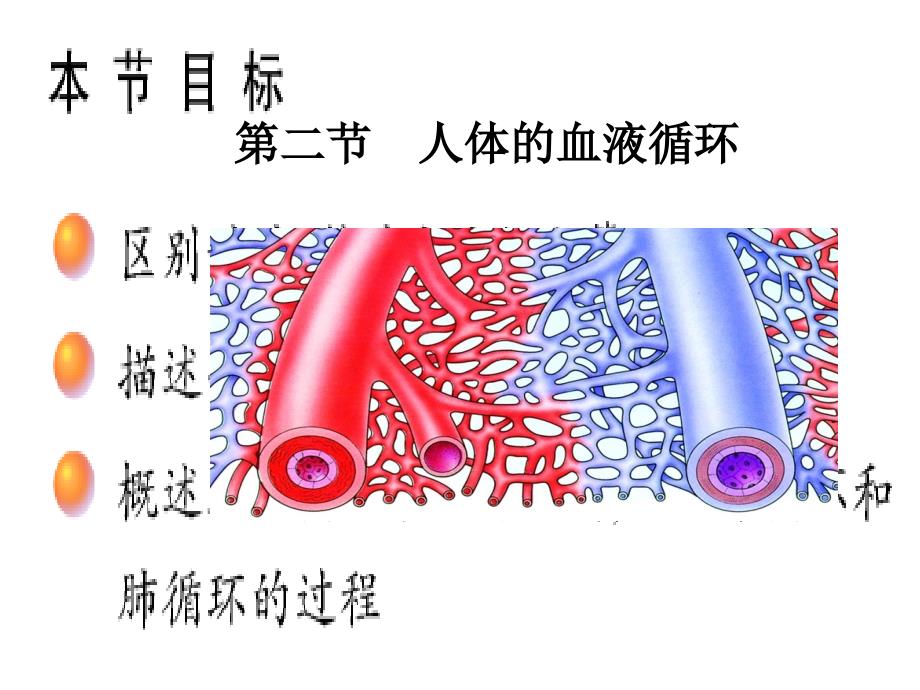 人体血液循环10787_第1页