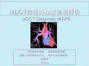 MDCT急性肺栓塞诊断评价