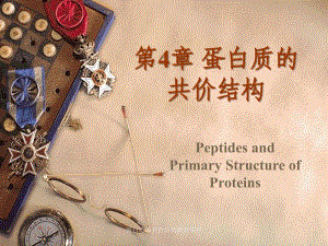 蛋白质的共价结构最新课件