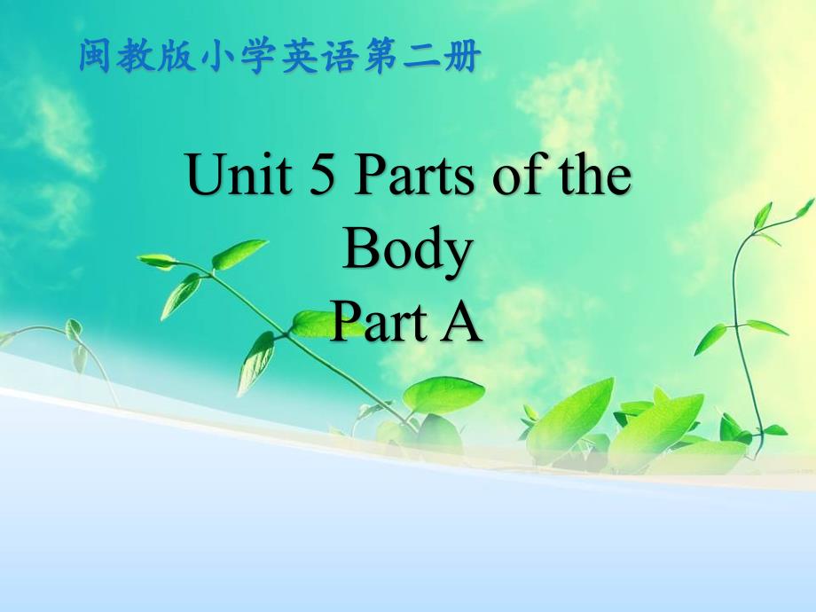 闽教版英语三年级下册 Unit 5 Parts of the Body Part A 课件（共19张PPT）_第1页