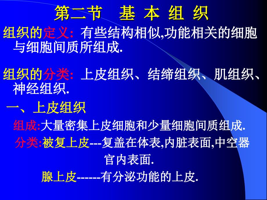 人体各主要部分解剖 基本组织_第1页