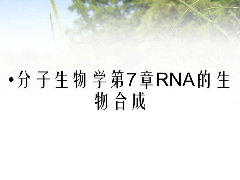 分子生物学第7章RNA的生物合成_第1页