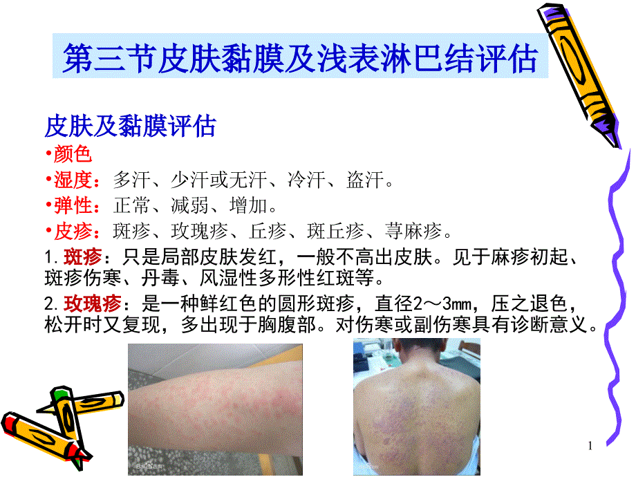 健康评估6.--身体状况评估-2-头颈胸-64P_第1页