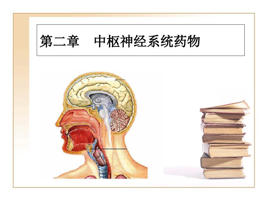 实用药物学基础 02.中枢神经系统药物._第1页