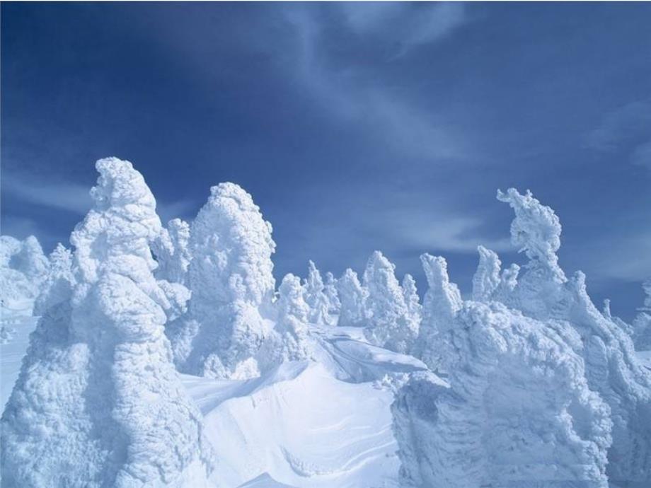 浪漫雪景图片素材_第1页