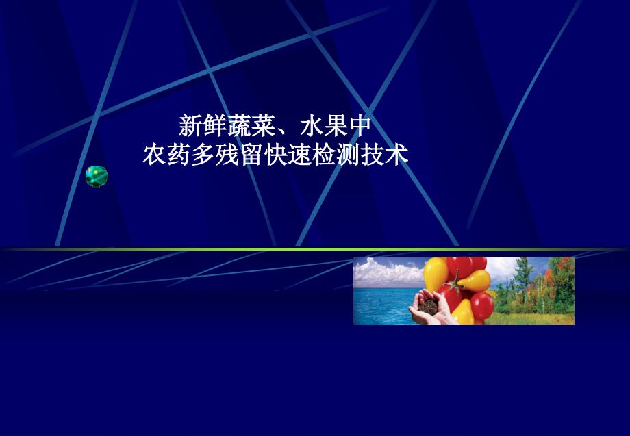 农林牧渔鲜蔬菜水果中农药多残留快速检测技术_第1页