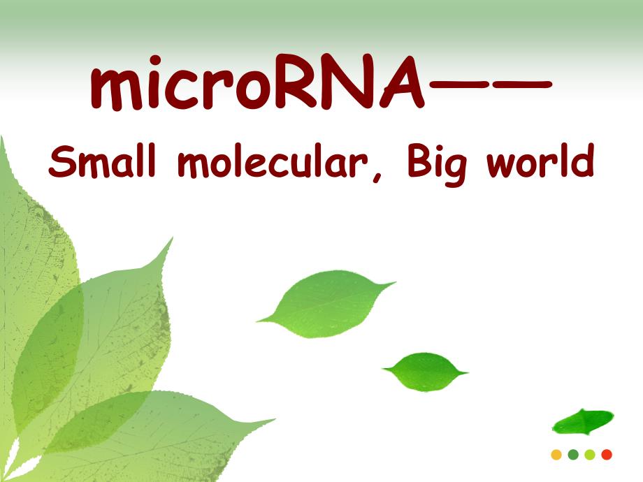 microRNA研究_第1页