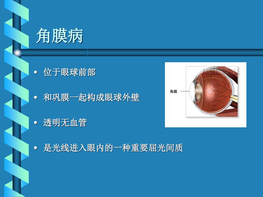 第十三章 角膜病课件_第1页