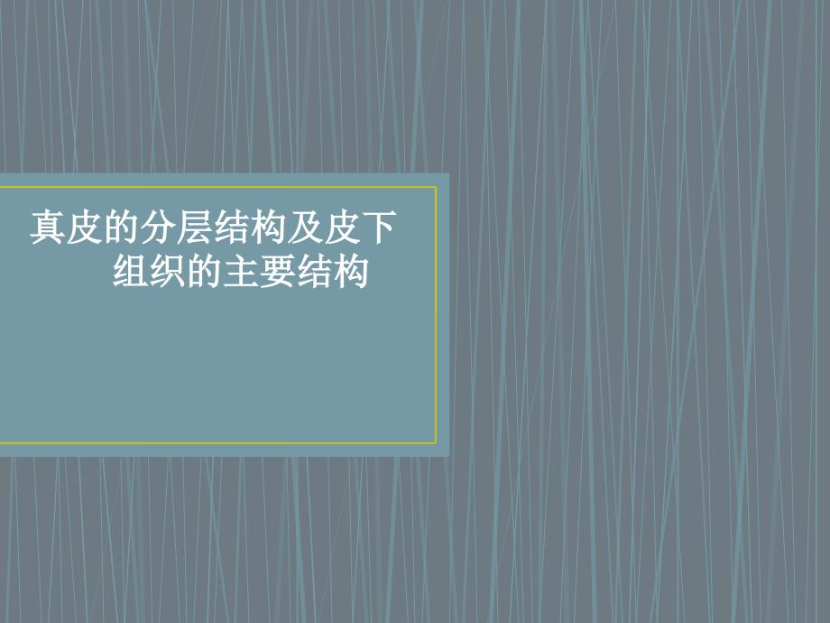 真皮的分层结构及皮下组织的主要结构_第1页