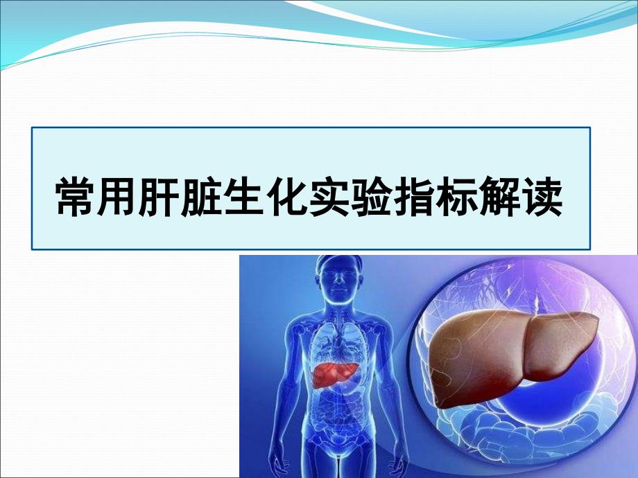 常用肝脏生化实验指标解读_第1页