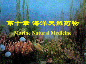 天然药物化学海洋天然产物