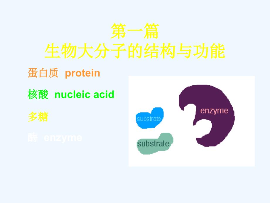 南京医科大学生化课件_第1页