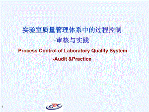 实验室质量管理体系中的过程控制审核与实践PPT36页