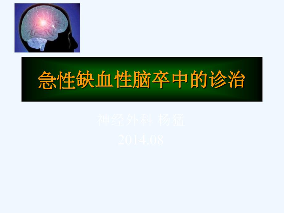 急性缺血性脑卒中的诊治_第1页