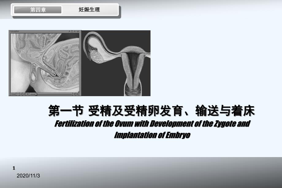 妊娠生理--妇产讲课_第1页