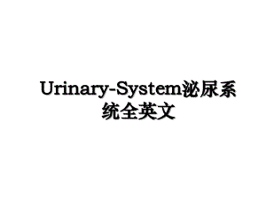 UrinarySystem泌尿系统全英文