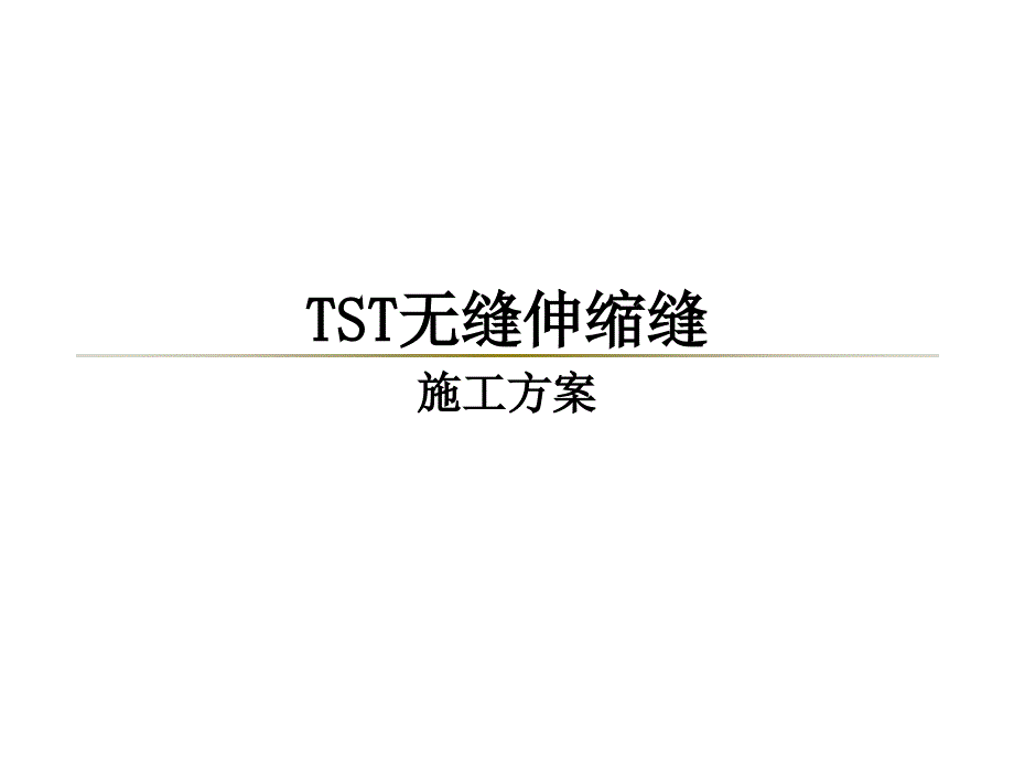 TST无缝伸缩缝施工方案(参考ppt课件)_第1页