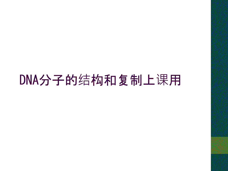 DNA分子的结构和复制上课用_第1页