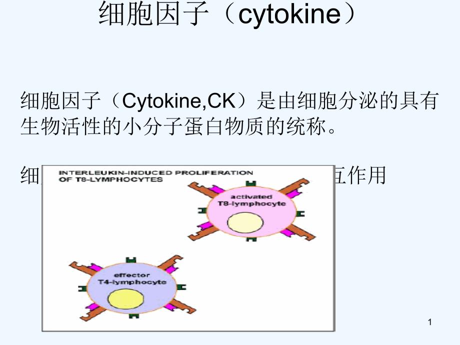 cytokine(细胞因子)_第1页