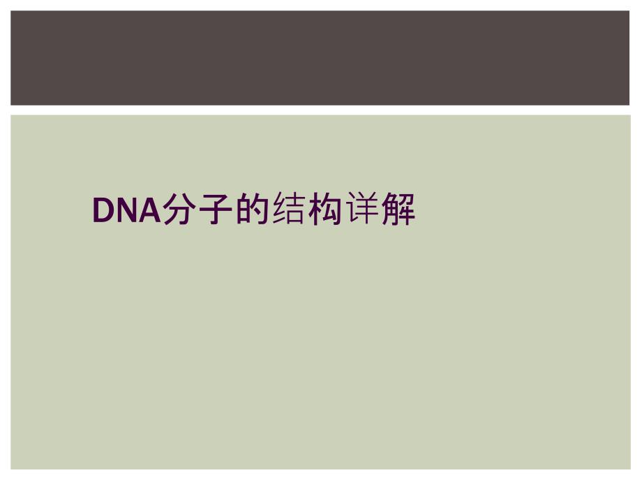 DNA分子的结构详解_第1页