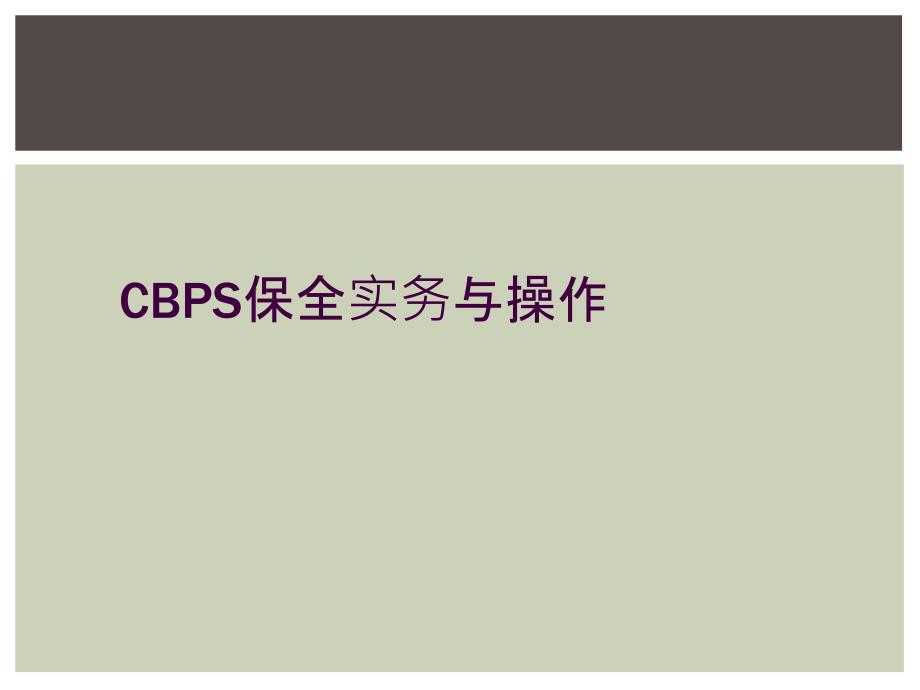 CBPS保全实务与操作_第1页