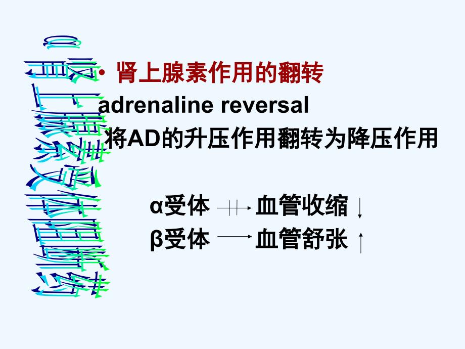 B肾上腺素受体阻断药_第1页