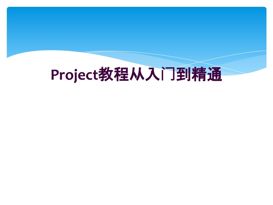 Project教程从入门到精通_第1页