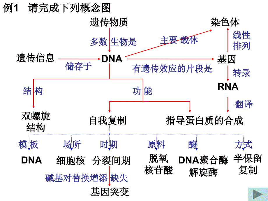 生物必修2概念图_第1页