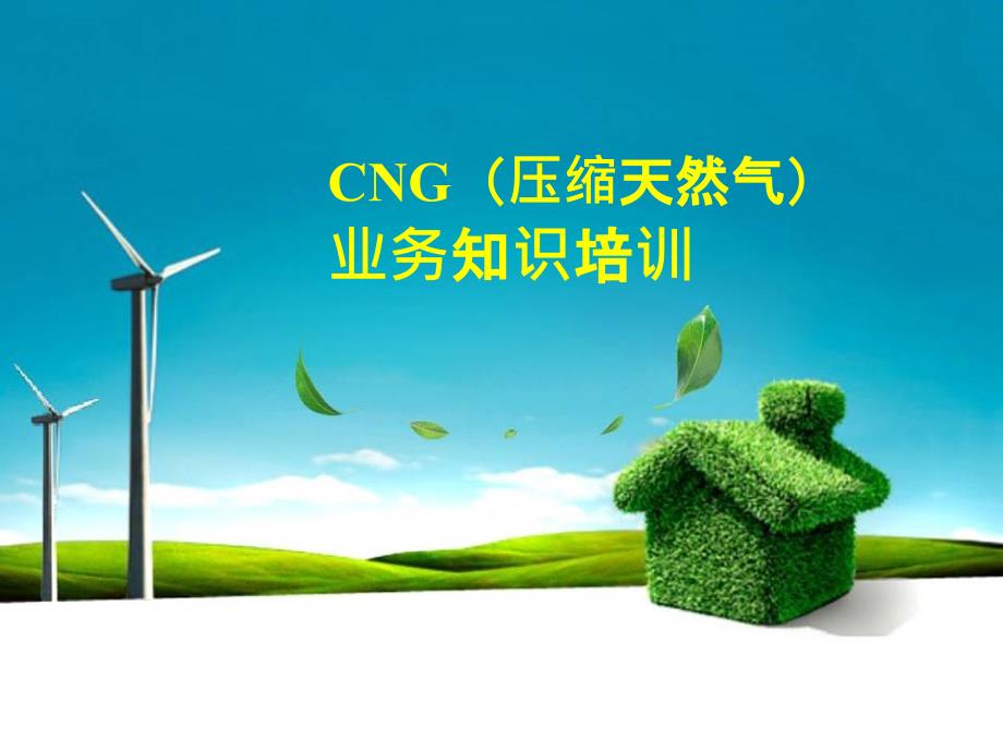 CNG业务知识培训_第1页