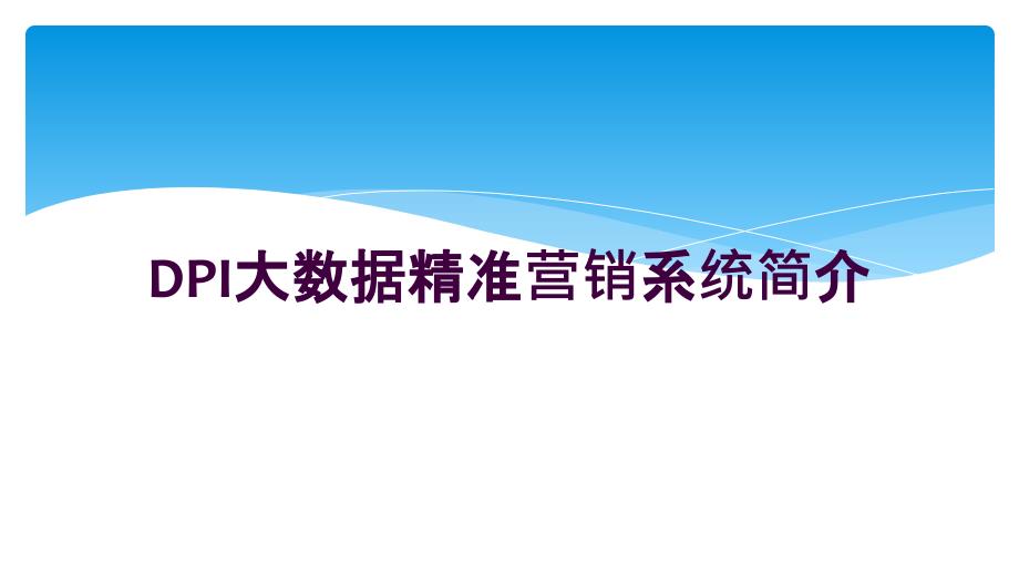 DPI大数据精准营销系统简介_第1页