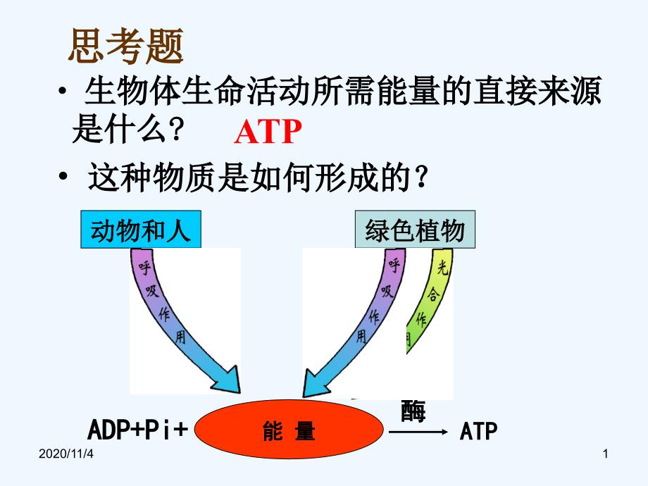 ATP的主要来源细胞呼吸公开课_第1页