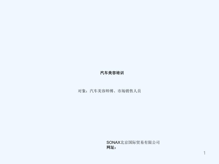 SONAX索奈克斯汽车美容培训之基础知识_第1页