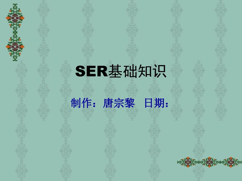 SER基础知识培训教材001_第1页