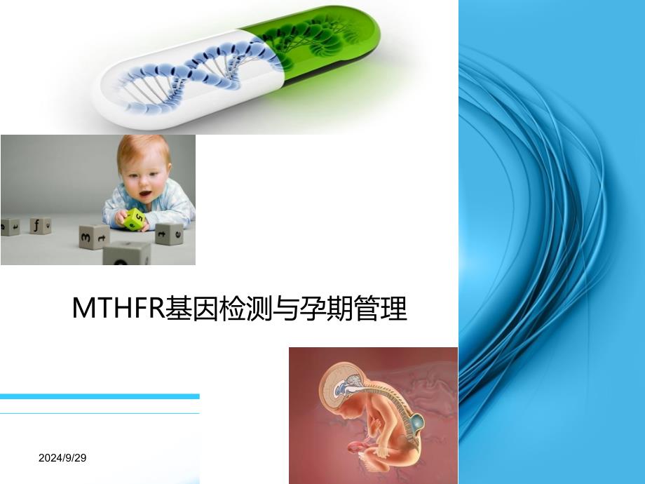 MTHFR基因检测与叶酸代谢_第1页