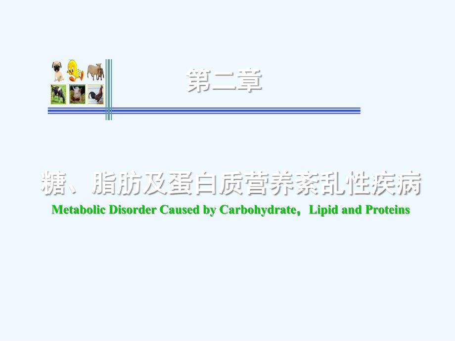 201102第二章糖脂肪与蛋白质营养紊乱性疾病6h_第1页