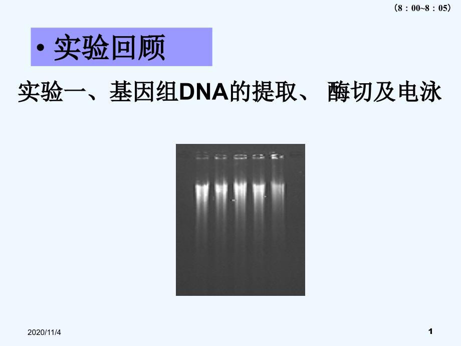 RNA的提取琼脂糖电泳及RTPCR_第1页